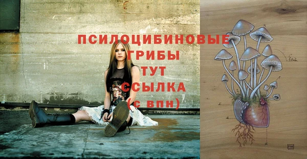 ГАЛЛЮЦИНОГЕННЫЕ ГРИБЫ Заволжск
