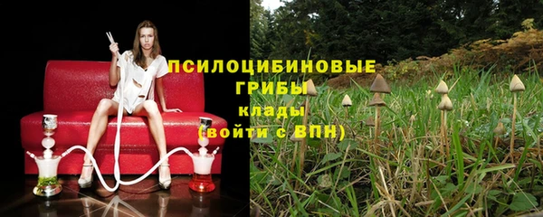ГАЛЛЮЦИНОГЕННЫЕ ГРИБЫ Заволжск