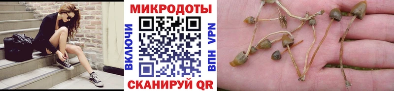 blacksprut вход Волжск Галлюциногенные грибы MAGIC MUSHROOMS