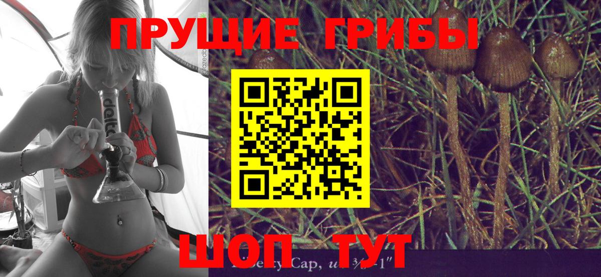 Волжск  Псилоцибиновые грибы Psilocybine cubensis  купить  цена  Вход с VPN 