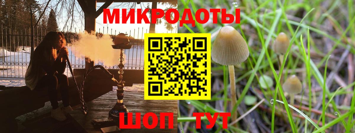 Псилоцибиновые грибы ЛСД Волжск